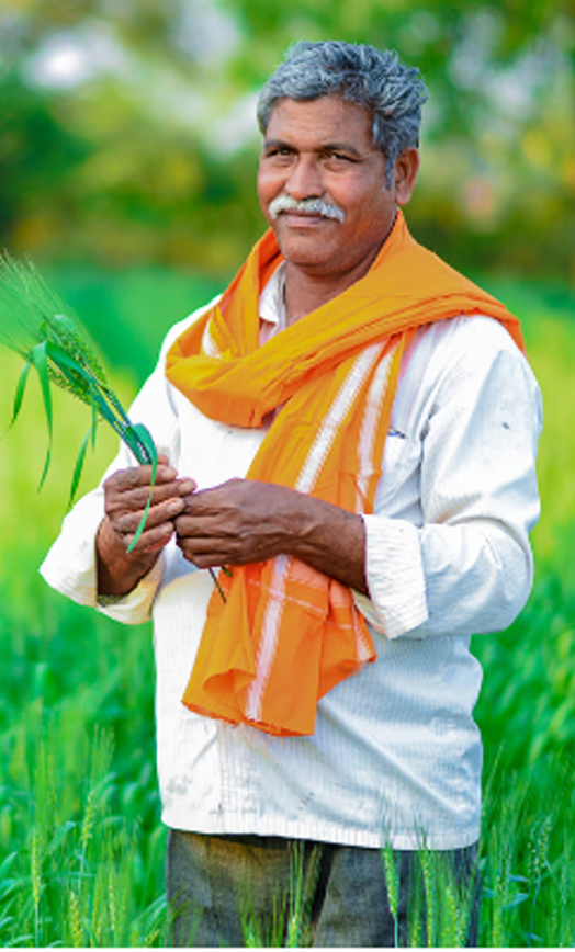 व्यक्तिगत किसान