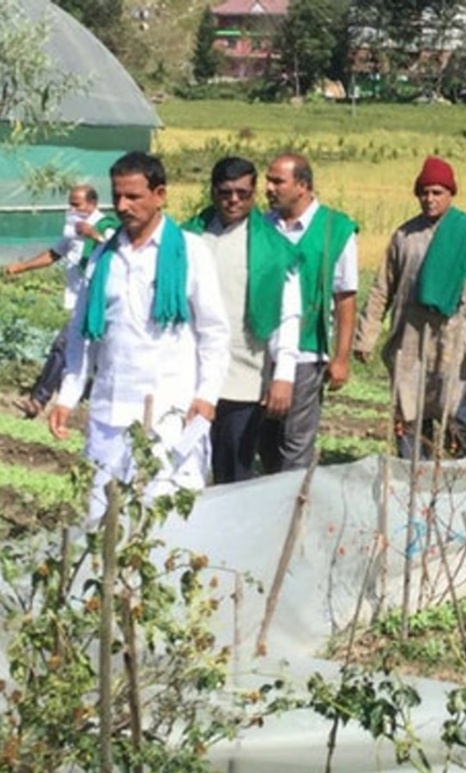 एफपीओ (किसान उत्पादक संगठन)