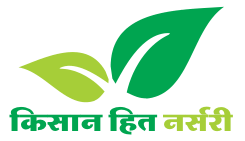 kisan