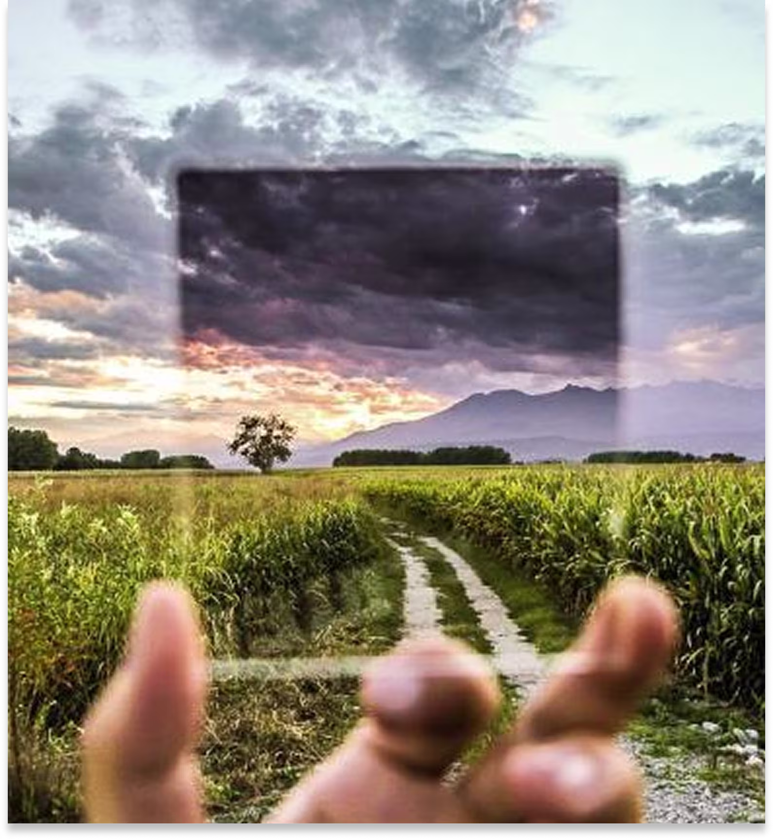 Mission & Vision