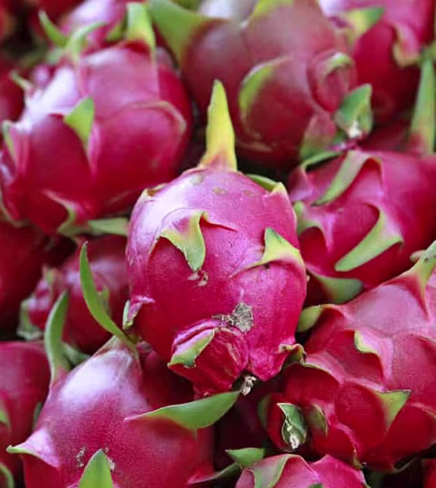 Dragon Fruit