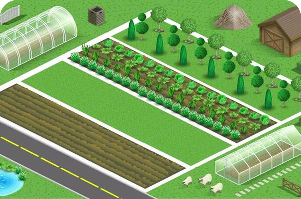 भूमि तैयारी और खेत का डिज़ाइन