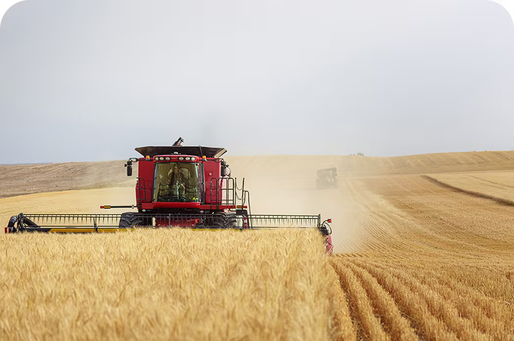 कीट और रोग प्रबंधन